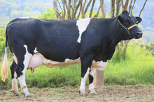 Carregar imagem no visualizador da galeria, LOTE 147 - DÉBORA JFLD