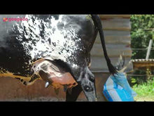 Carregar e reproduzir vídeo no visualizador da galeria, LOTE 124 - CAMILE PETY JFLD