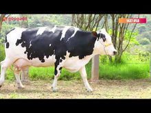 Carregar e reproduzir vídeo no visualizador da galeria, LOTE 151 - 1437 JFLD