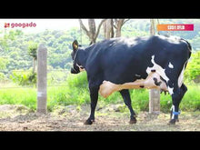 Carregar e reproduzir vídeo no visualizador da galeria, LOTE 136 - 1351 JFLD