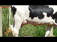 Carregar e reproduzir vídeo no visualizador da galeria, LOTE 135 -1628 JFLD