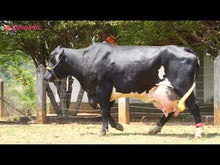 Carregar e reproduzir vídeo no visualizador da galeria, LOTE 121 - BARCA FIV MOGUL JFLD