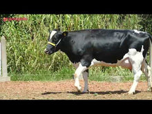 Carregar e reproduzir vídeo no visualizador da galeria, LOTE 152 -1483 JFLD