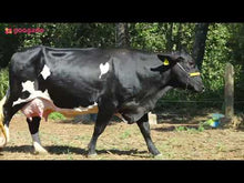 Carregar e reproduzir vídeo no visualizador da galeria, LOTE 148 - DUDA JFLD