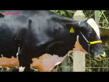 Carregar e reproduzir vídeo no visualizador da galeria, LOTE 129 - ESTÉFANI JFLD