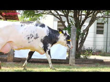 Carregar e reproduzir vídeo no visualizador da galeria, LOTE 170 - DINÁ JFLD