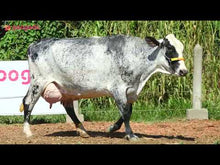 Carregar e reproduzir vídeo no visualizador da galeria, LOTE 120 - ESMALTE JFLD