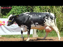 Carregar e reproduzir vídeo no visualizador da galeria, LOTE 149 - DININHA JFLD