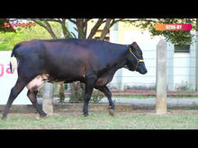 Carregar e reproduzir vídeo no visualizador da galeria, LOTE 168 - ESFINGE JFLD