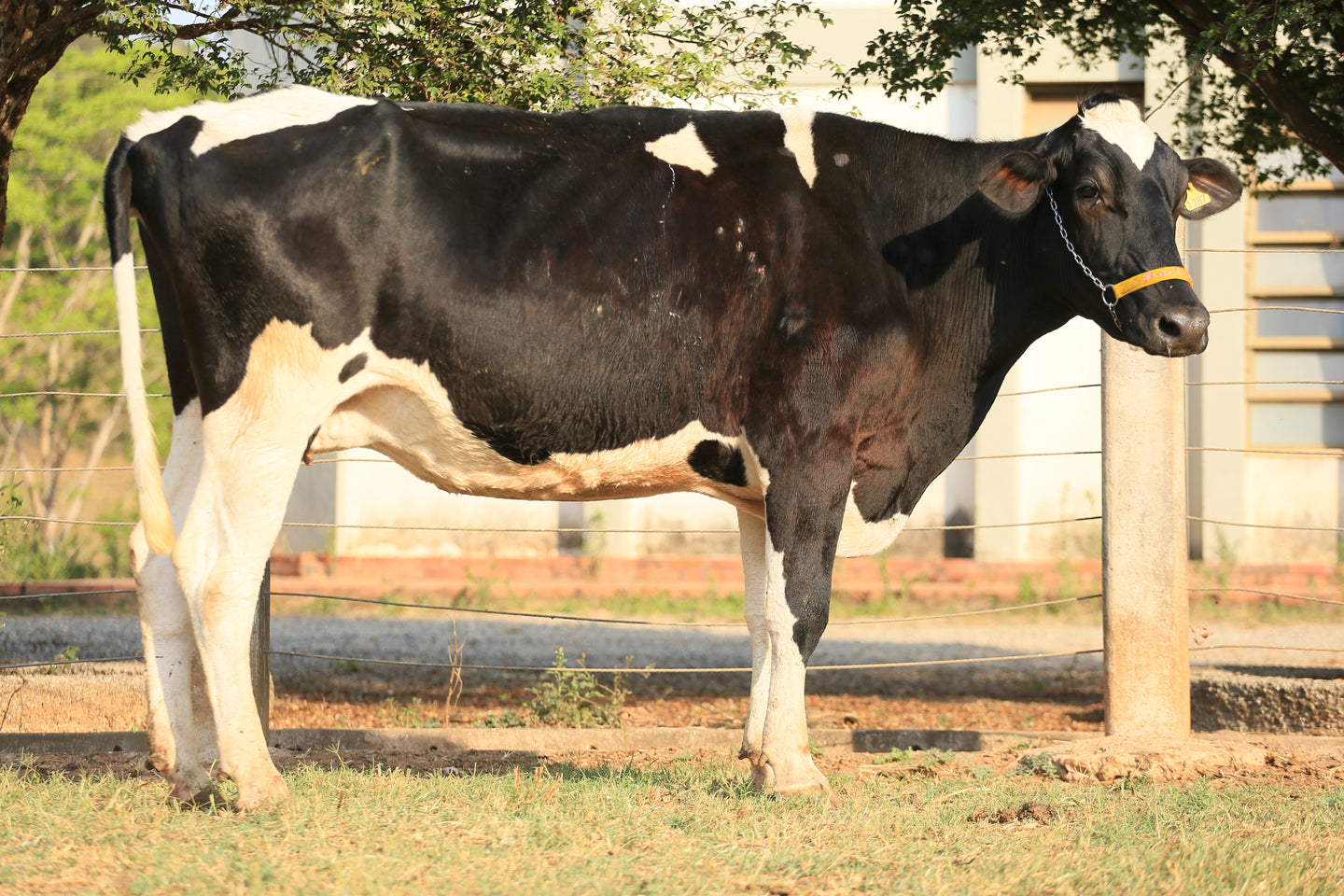 LOTE 164 - 1387 JFLD